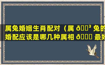 属兔婚姻生肖配对（属 🌳 兔的婚配应该是哪几种属相 🍀 最好）